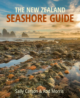 The New Zealand Seashore Guide cover