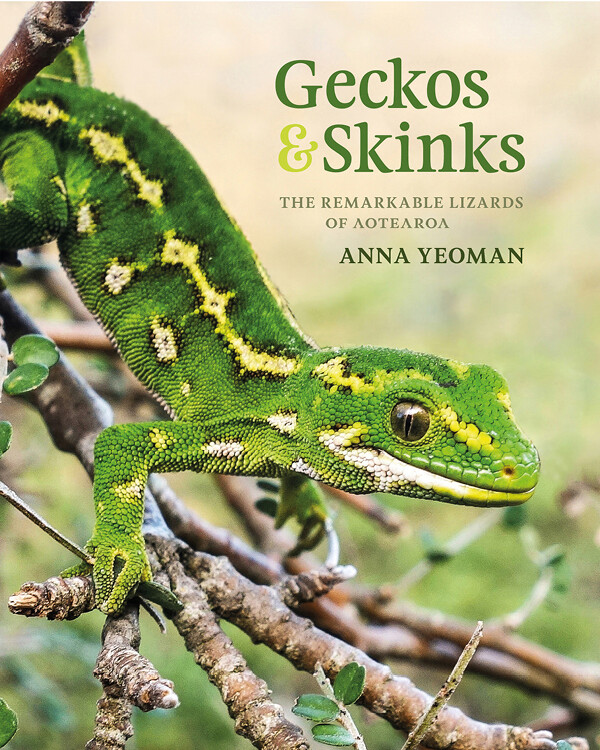 Geckos and Skinks: The remarkable lizards of Aotearoa cover